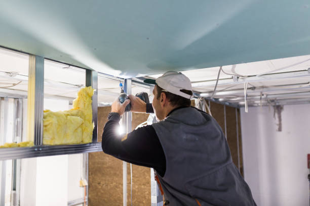 Best Cellulose Insulation in Del Aire, CA