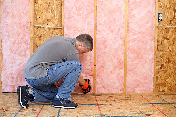 Best Eco-Friendly Insulation in Del Aire, CA